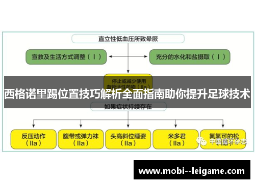 西格诺里踢位置技巧解析全面指南助你提升足球技术 西格诺里踢位置技巧解析全面指南助你提升足球技术