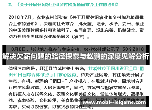 解决欠薪问题的路径探索与赵鹏的深度见解分析 解决欠薪问题的路径探索与赵鹏的深度见解分析